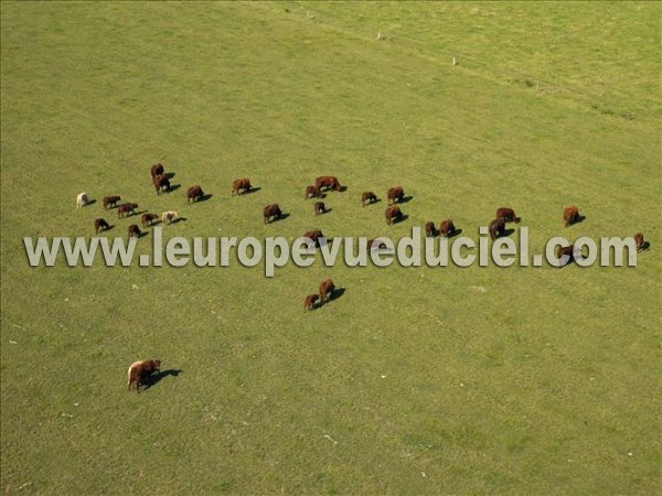 Photo aérienne de Indtermine (Moselle)