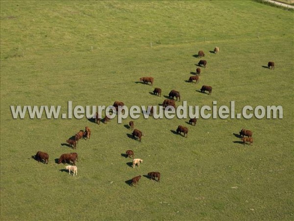 Photo aérienne de Indtermine (Moselle)