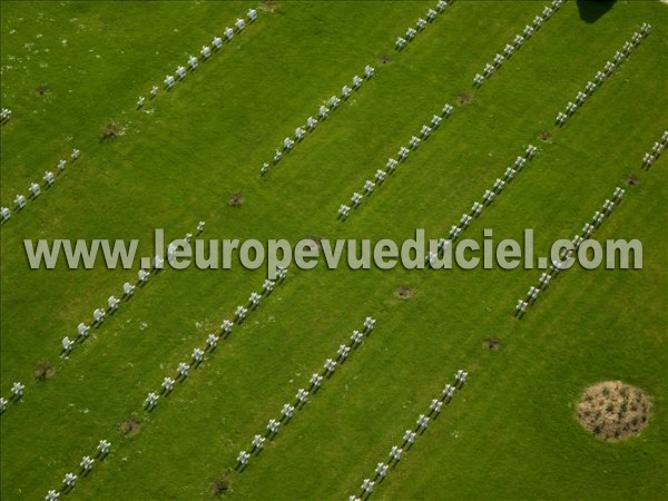 Photo aérienne de Rougemont