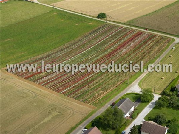 Photo aérienne de Vaire-Arcier