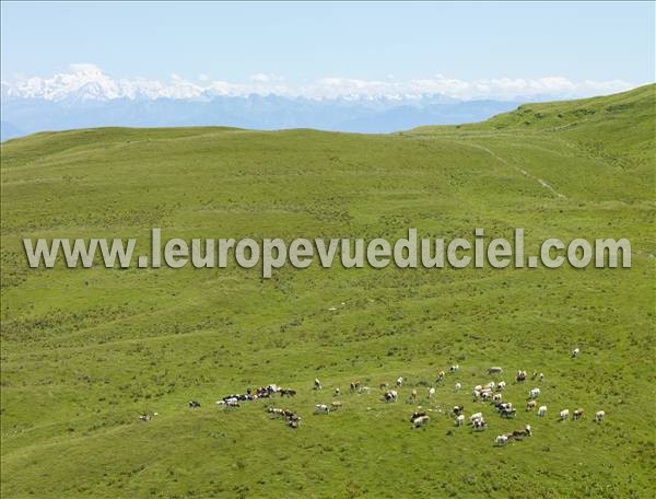 Photo aérienne de Crozet