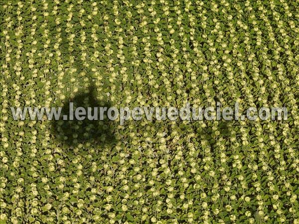 Photo aérienne de Indtermine (Marne)