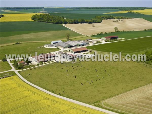 Photo aérienne de Mligny-le-Petit