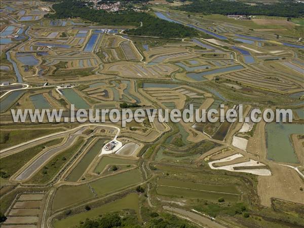 Photo aérienne de Le Chteau-d'Olron