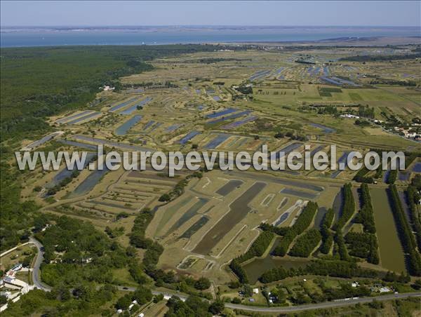 Photo aérienne de Saint-Georges-d'Olron