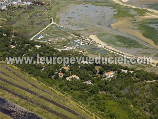 Photo aérienne de Saint-Pierre-d'Olron