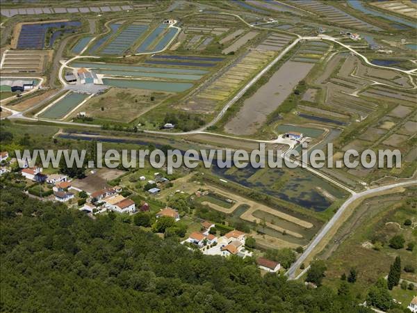 Photo aérienne de Saint-Trojan-les-Bains