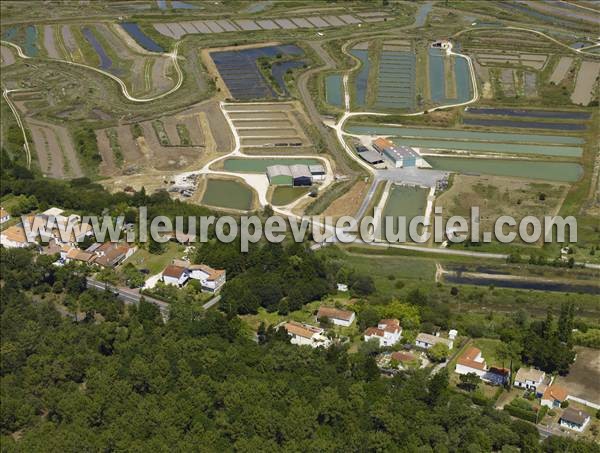 Photo aérienne de Saint-Trojan-les-Bains