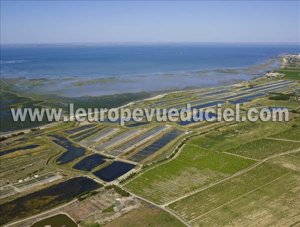 Photo aérienne de La Couarde-sur-Mer