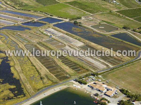 Photo aérienne de La Couarde-sur-Mer