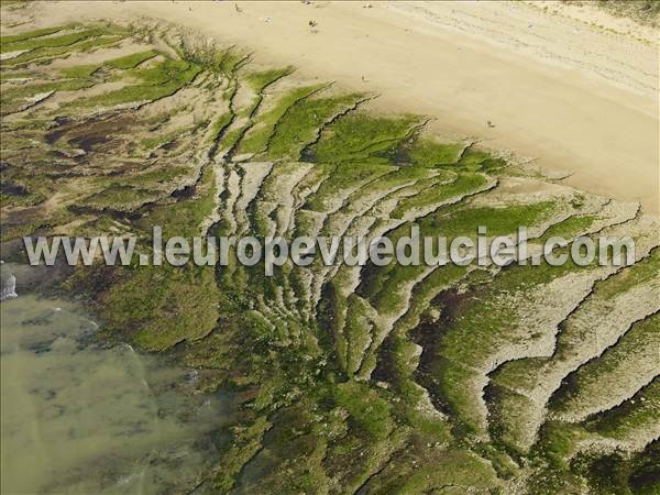 Photo aérienne de Le Bois-Plage-en-R