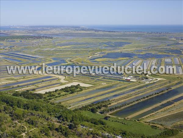 Photo aérienne de Saint-Clment-des-Baleines