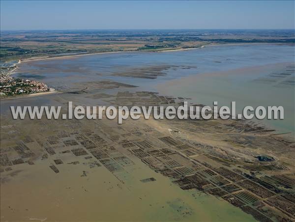 Photo aérienne de Chtelaillon-Plage