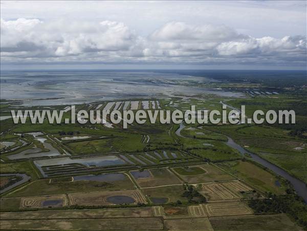 Photo aérienne de Le Teich