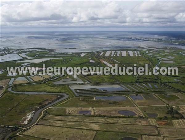 Photo aérienne de Le Teich