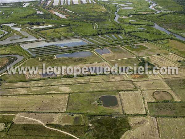 Photo aérienne de Le Teich