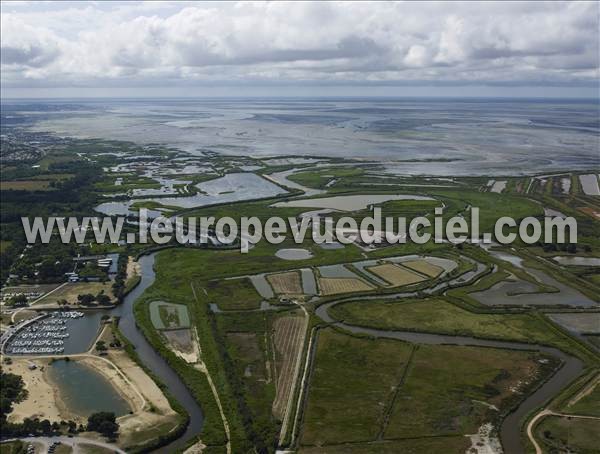 Photo aérienne de Le Teich