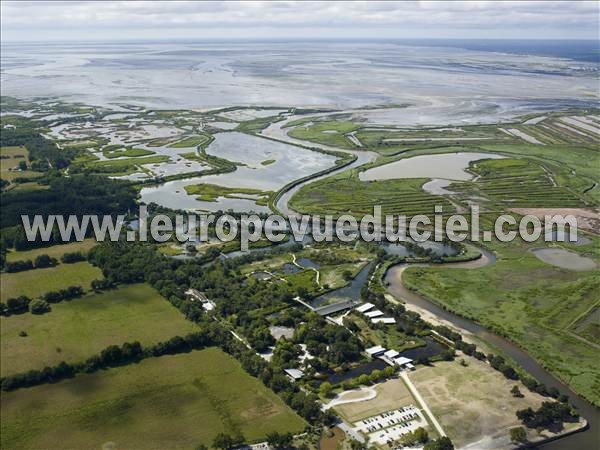 Photo aérienne de Le Teich