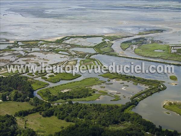 Photo aérienne de Le Teich