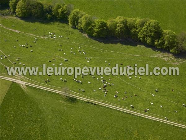 Photo aérienne de Saint-Dizier-l'vque