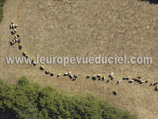 Photo aérienne de Indtermine (Haute-Vienne)