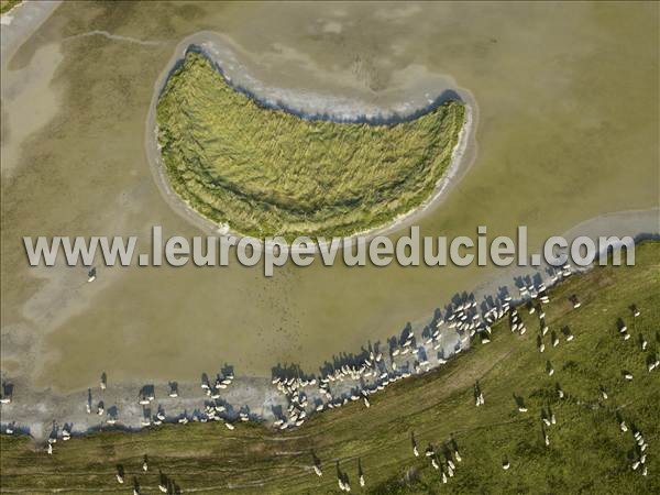 Photo aérienne de Le Mont-Saint-Michel