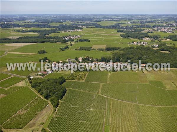 Photo aérienne de Maisdon-sur-Svre