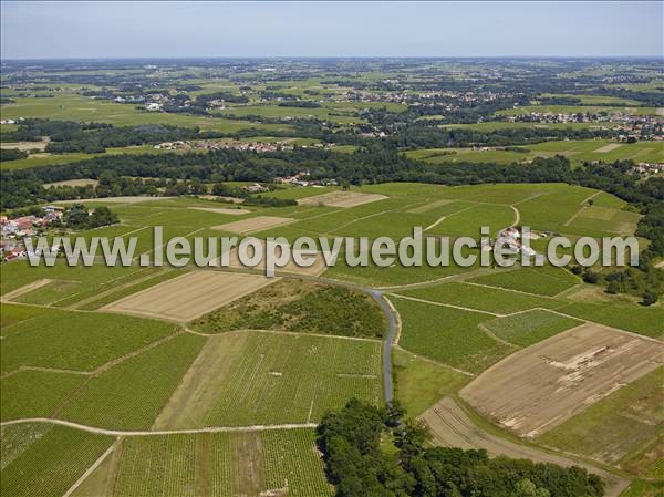 Photo aérienne de Maisdon-sur-Svre