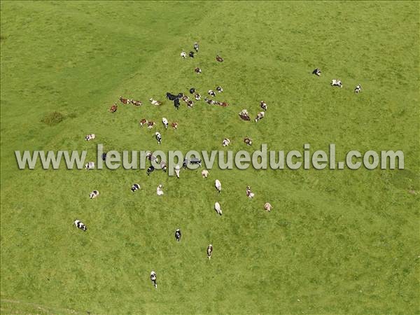 Photo aérienne de Saint-Michel-d'Halescourt