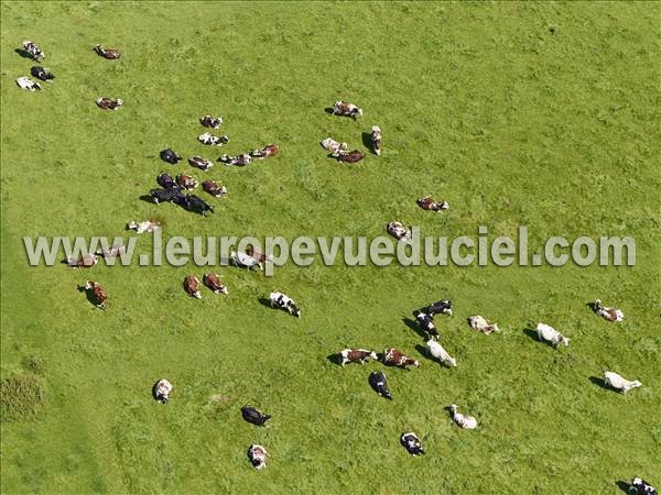 Photo aérienne de Saint-Michel-d'Halescourt