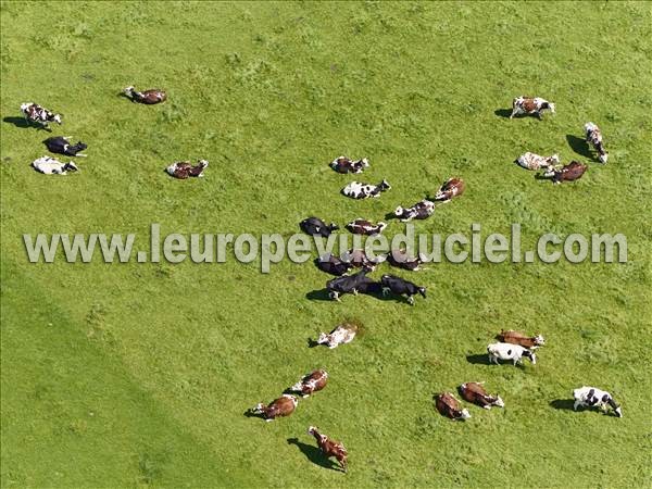 Photo aérienne de Saint-Michel-d'Halescourt