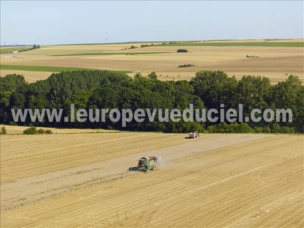 Photo aérienne de Saint-Loup-en-Champagne