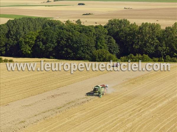 Photo aérienne de Saint-Loup-en-Champagne