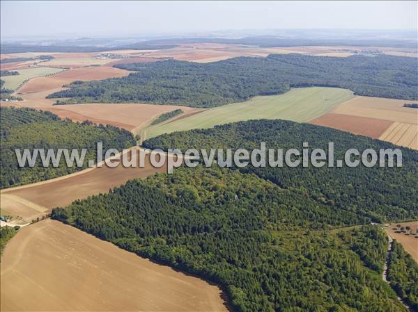 Photo aérienne de Limey-Remenauville