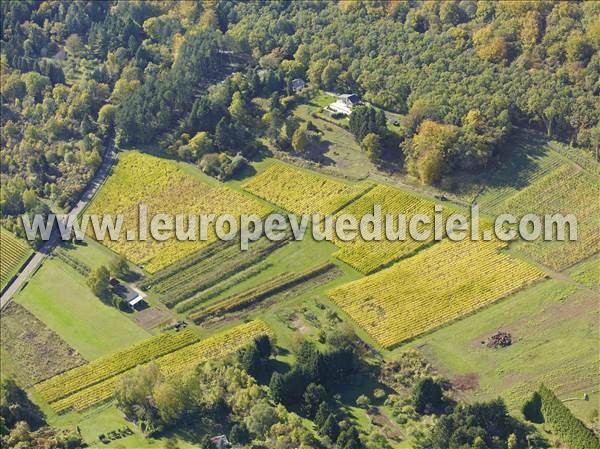 Photo aérienne de Ancy-sur-Moselle