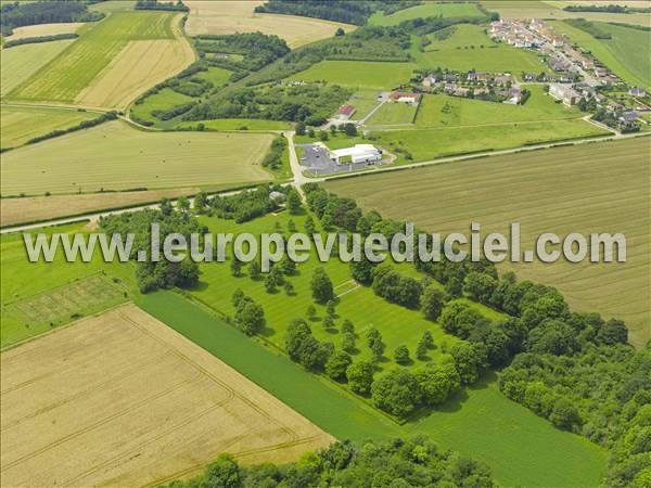 Photo aérienne de Thiaucourt-Regniéville