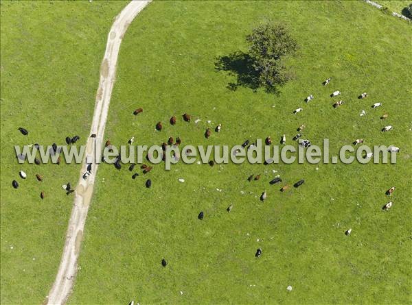 Photo aérienne de Les Villedieu