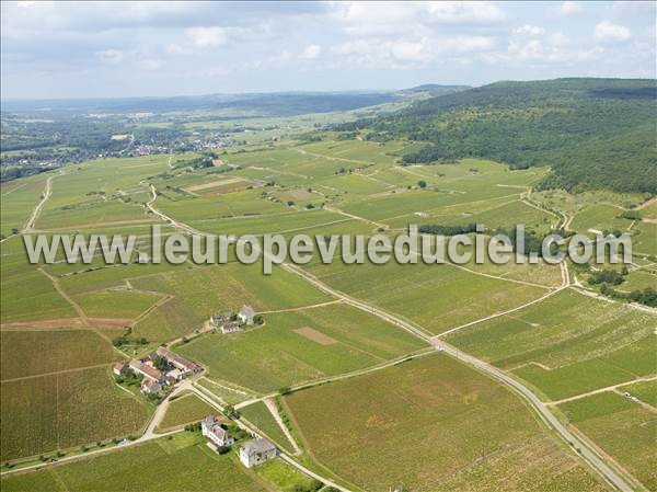 Photo aérienne de Chassagne-Montrachet