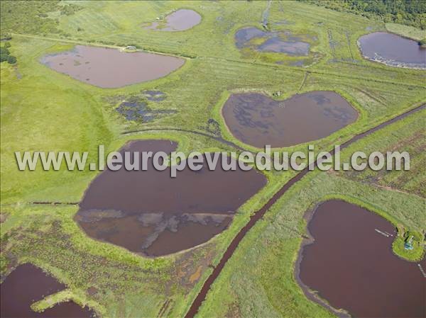 Photo aérienne de Vendays-Montalivet