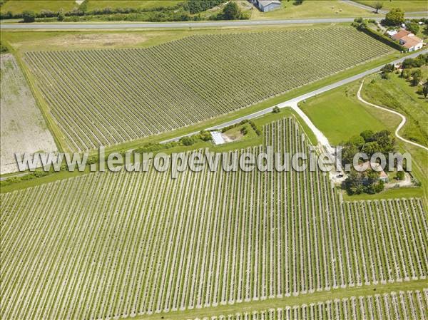 Photo aérienne de Talmont-sur-Gironde