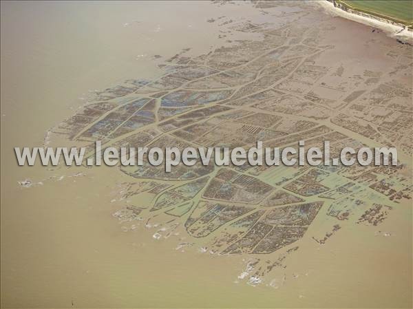 Photo aérienne de Nieul-sur-Mer
