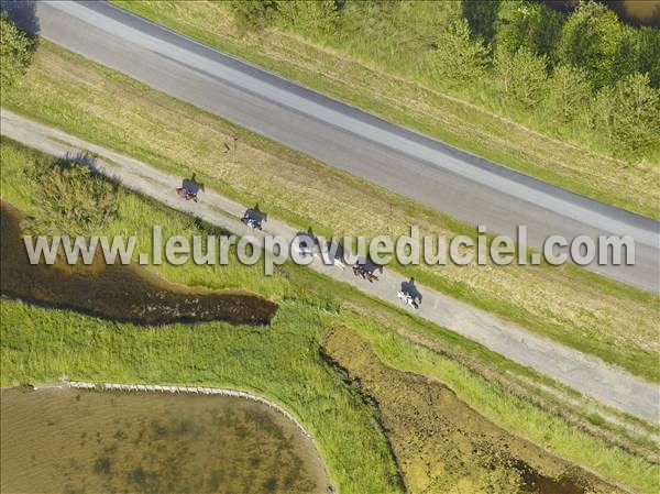 Photo aérienne de Les Moutiers-en-Retz