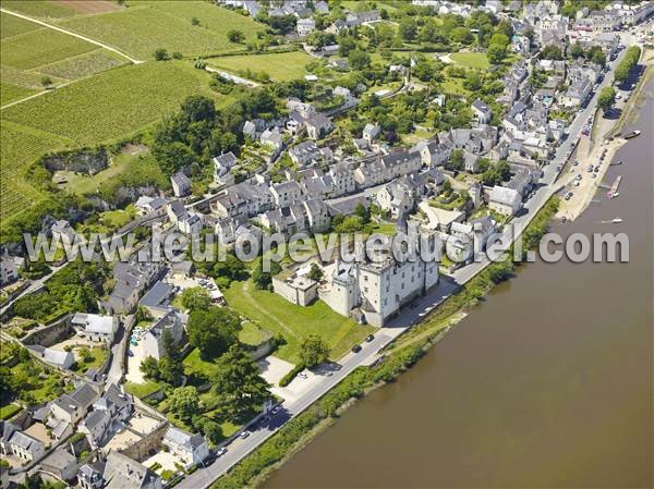 Photo aérienne de Candes-Saint-Martin