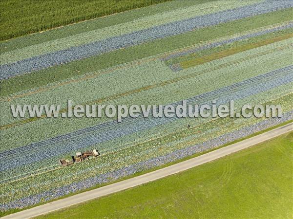 Photo aérienne de Bancourt