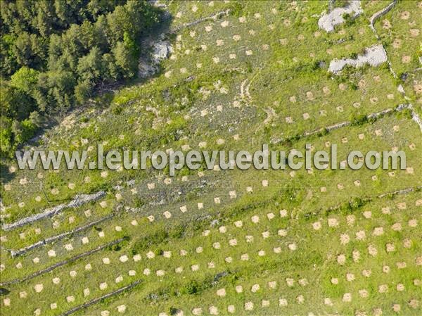 Photo aérienne de Millau