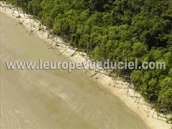 Photo aérienne de Kourou