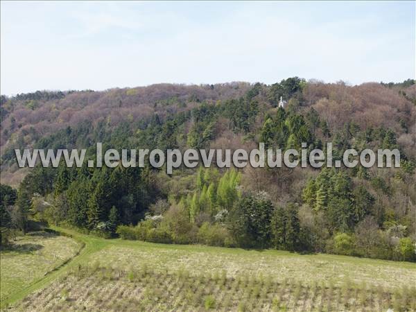 Photo aérienne de Buxires-sous-les-Ctes