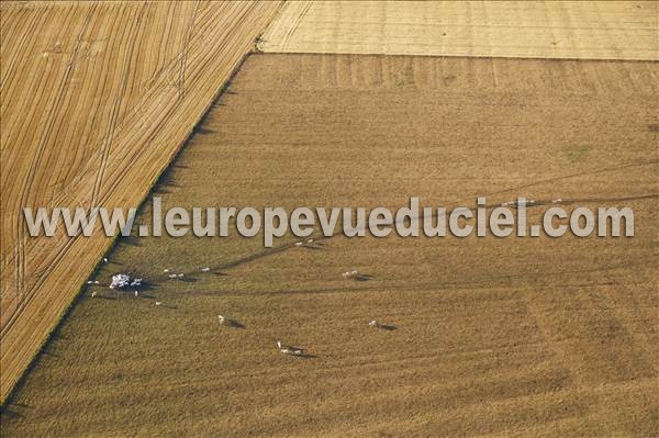 Photo aérienne de Chambley-Bussires