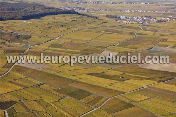 Photo aérienne de Le Mesnil-sur-Oger