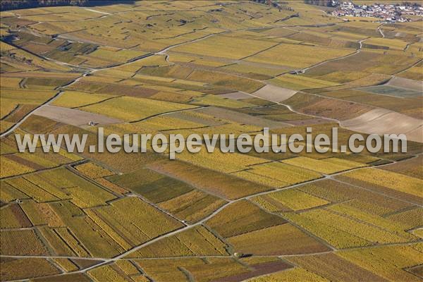 Photo aérienne de Le Mesnil-sur-Oger